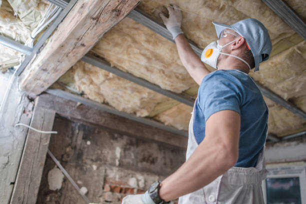 Best Blown-in Insulation in Bartow, FL