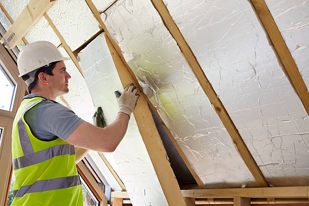 Best Specialized Insulation Services in Bartow, FL